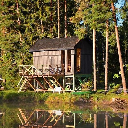 Lici  Dragon House In The Tree! Jacuzzi, Sauna ,Cinema,Heated מראה חיצוני תמונה