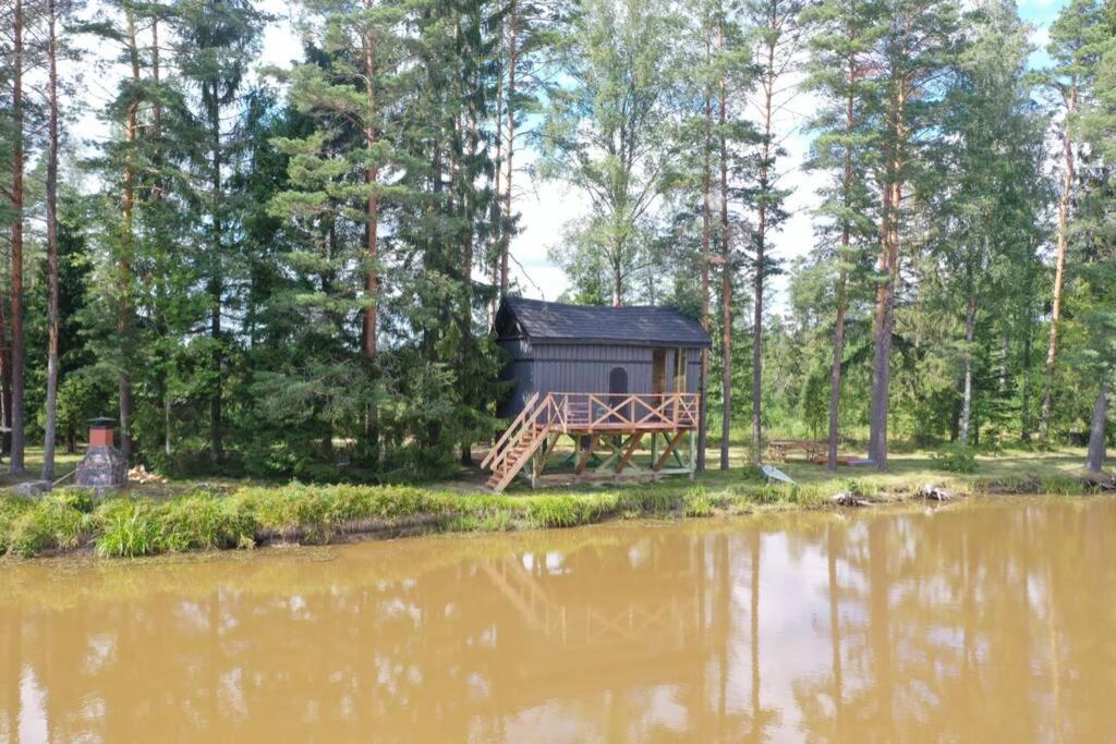 Lici  Dragon House In The Tree! Jacuzzi, Sauna ,Cinema,Heated מראה חיצוני תמונה
