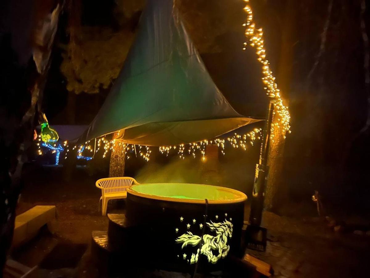 Lici  Dragon House In The Tree! Jacuzzi, Sauna ,Cinema,Heated מראה חיצוני תמונה
