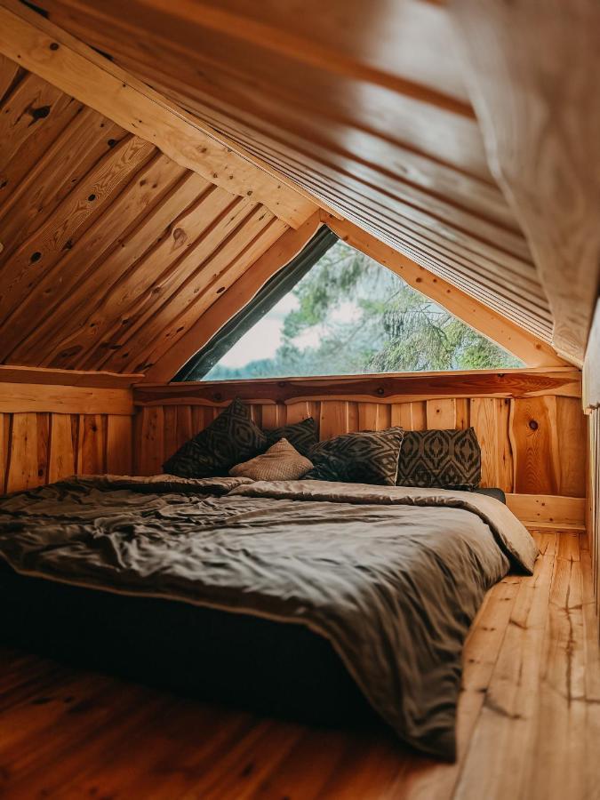 Lici  Dragon House In The Tree! Jacuzzi, Sauna ,Cinema,Heated מראה חיצוני תמונה