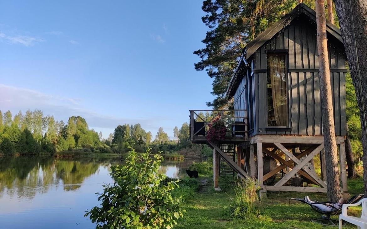 Lici  Dragon House In The Tree! Jacuzzi, Sauna ,Cinema,Heated מראה חיצוני תמונה